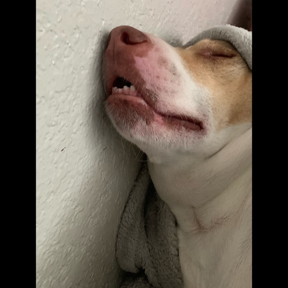 Meet your Posher, Olivia - Picture 10 of 11